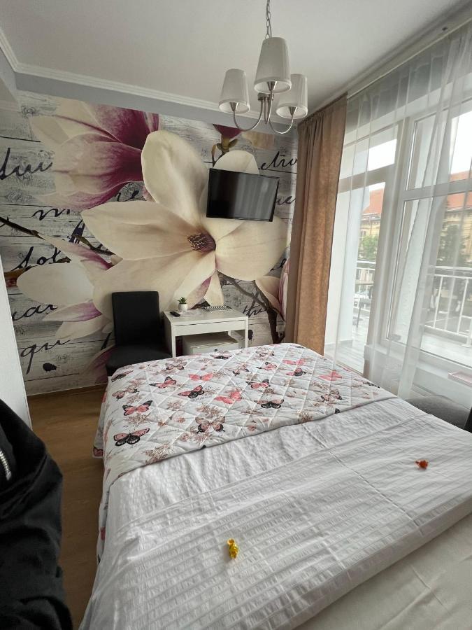 Artmotel & Bistro Haţeg Eksteriør bilde